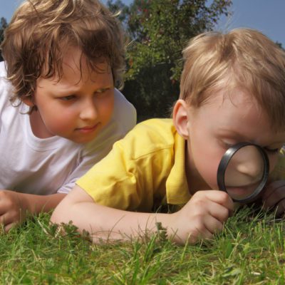 shutterstock 124002364