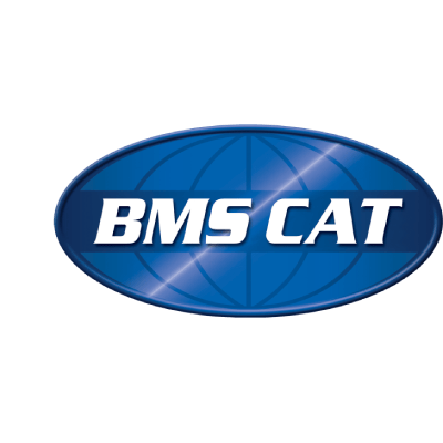 BMS Cat icon
